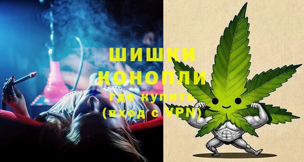 ECSTASY Дмитров