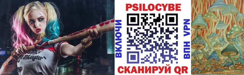 Галлюциногенные грибы GOLDEN TEACHER  купить   Рудня 